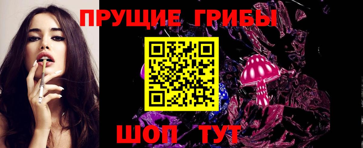 Псилоцибиновые грибы MAGIC MUSHROOMS  Вход с VPN  купить  цена  Йошкар-Ола 